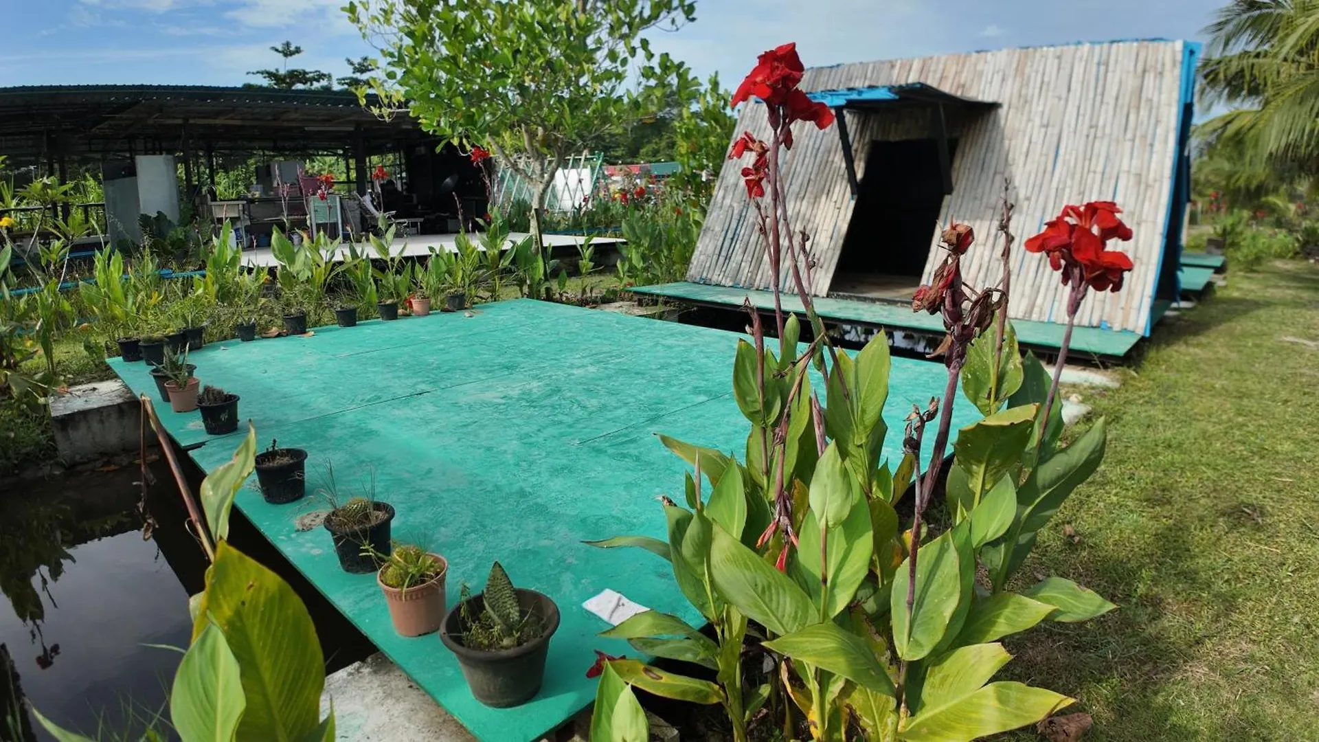 Love Uu Garden - Paddy View Stay With Bicycle Ride Balik Pulau